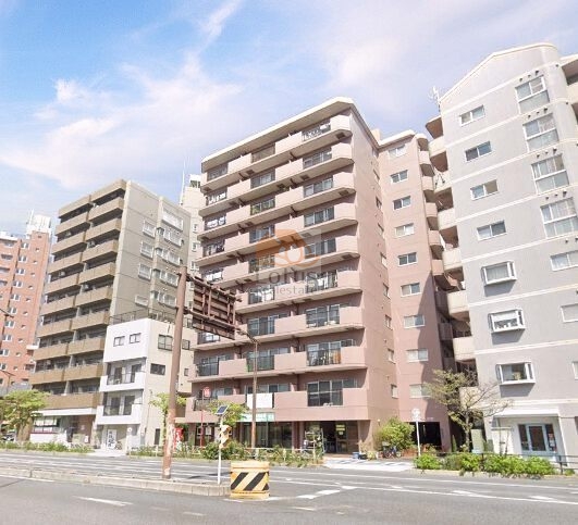 セザール金町外観２｜セザール金町は昭和57年築、10階建のマンションです。