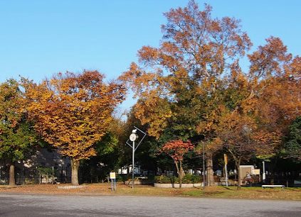 諏訪木西公園