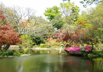 有栖川宮記念公園｜「有栖川宮記念公園」まで徒歩８分です。公園の中に都立中央図書館があります。