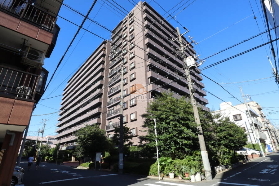 コスモ住吉扇橋外観1｜コスモ住吉扇橋は平成１０年築、１３階建てマンションです。小名木川に隣接した環境で、周辺にはスーパーやホームセンターなどもあります。