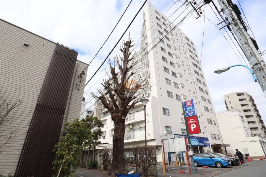 目白が丘マンション外観1｜目白が丘マンションは昭和46年築、14階建てのマンションです。