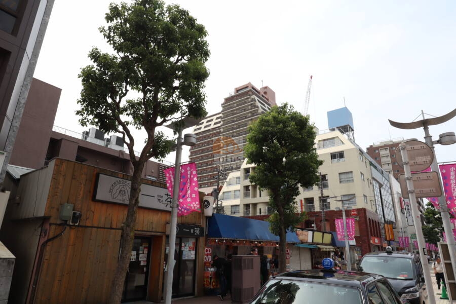パークタワー東京クラルテステーションフロント外観1｜パークタワー東京クラルテステーションフロントは平成１６年築、２０階建てのタワーマンションです。小岩駅から徒歩３分です。近くには飲食店・スーパー・コンビニなどあり便利です。