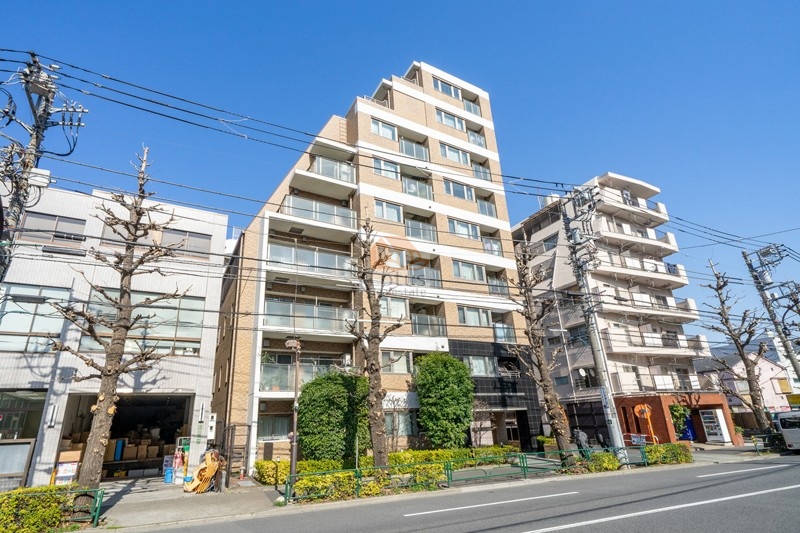 グランスイート文京小石川外観４｜グランスイート文京小石川は千川通りに面した、9階建てのマンションです。