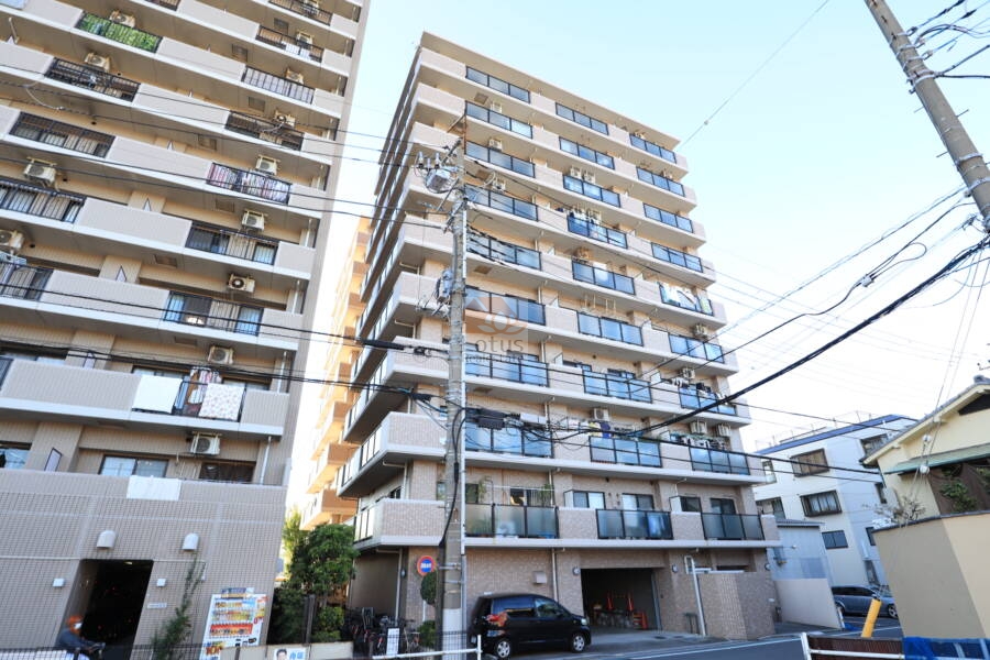 ライオンズマンション立石第３外観1｜ライオンズマンション立石第３は平成５年築、１０階建てのマンションです。水戸街道に面していいます。