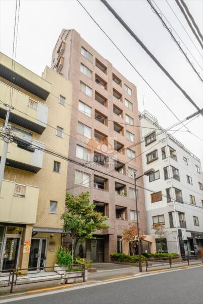 レジェンド松が谷外観３｜レジェンド松が谷は、平成15年築、12階建てのマンションです。