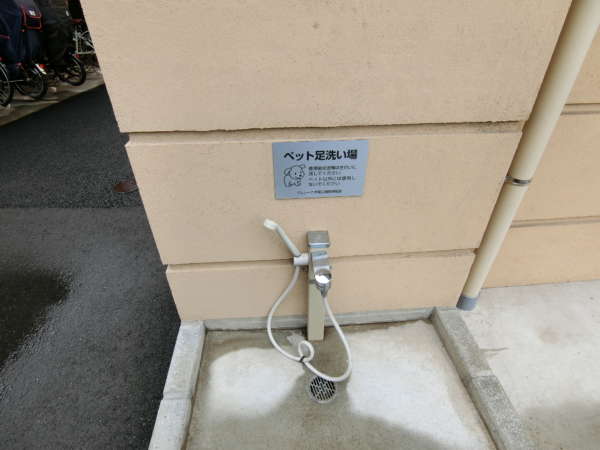 ヴェレーナ木場公園外観共用部1｜ペットちゃんの足洗い場が設置されています。