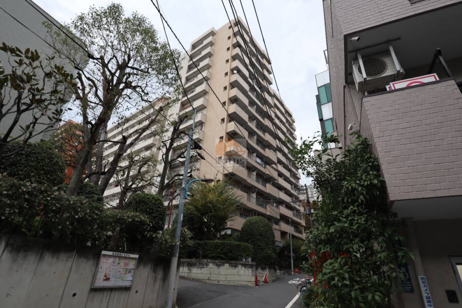 新宿セントビラ永谷外観1｜新宿セントビラ永谷は昭和５５年築の１３階建てです。新宿中央公園がある十二社通り沿いです。