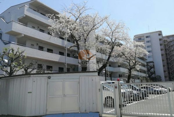 荒川遊園ビューハイツ外観２｜荒川遊園ビューハイツは昭和58年築、5階建てのマンションです。