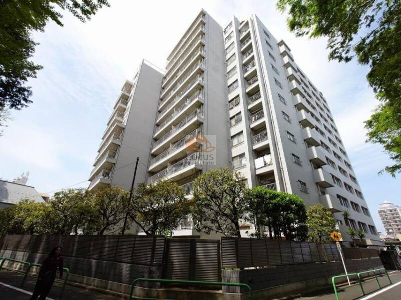 桜台ハイライズ外観東南側｜桜台ハイライズは、昭和48年築、13階建てのマンションです。