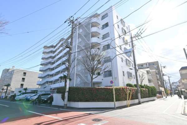 東和ファイナンス外観３｜東和ファイナンスは昭和５２年築、８階建てのマンションです。目の前に谷中公園があり、すぐ近くには２４時間スーパー西友北綾瀬店があります。。