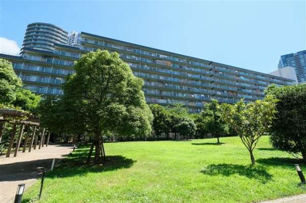豊洲ハイライズ外観７｜敷地内には公園があり、日当たり良好です。