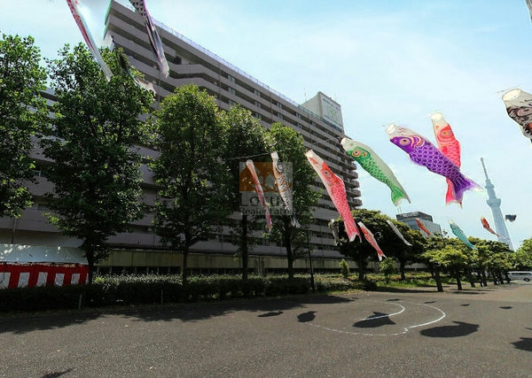 東白鬚第１マンション外観８｜東白髭第１マンションは昭和57年築、13階建てのマンションです。白髭橋を渡ってすぐの住宅です。