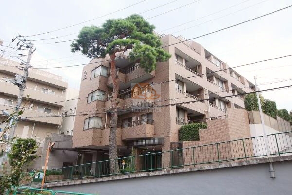 ベージュ系タイルの外壁と段状バルコニーが整い、敷地の高低差に沿ってファサードが落ち着いた表情を見せます。大きく育った常緑樹が前面に立ち、低中層6階建＋地下1階の量感をやわらげています。