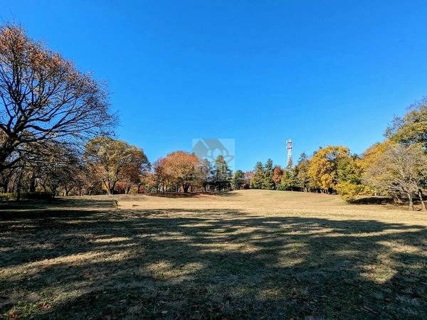 大泉中央公園｜徒歩5分に「大泉中央公園」があります。