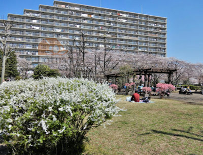 新宿区立せせらぎの里公苑