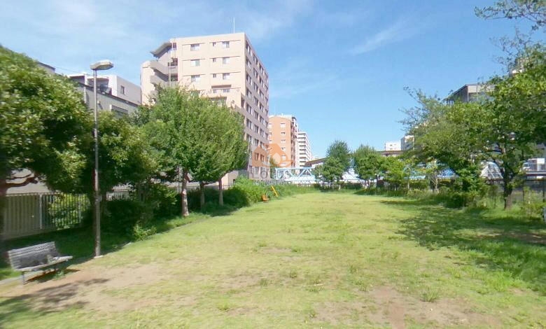 ＢＥＬＩＳＴＡ住吉外観｜南側は扇橋河川公園があり、その先に小名木川があります。扇橋開門もあります。