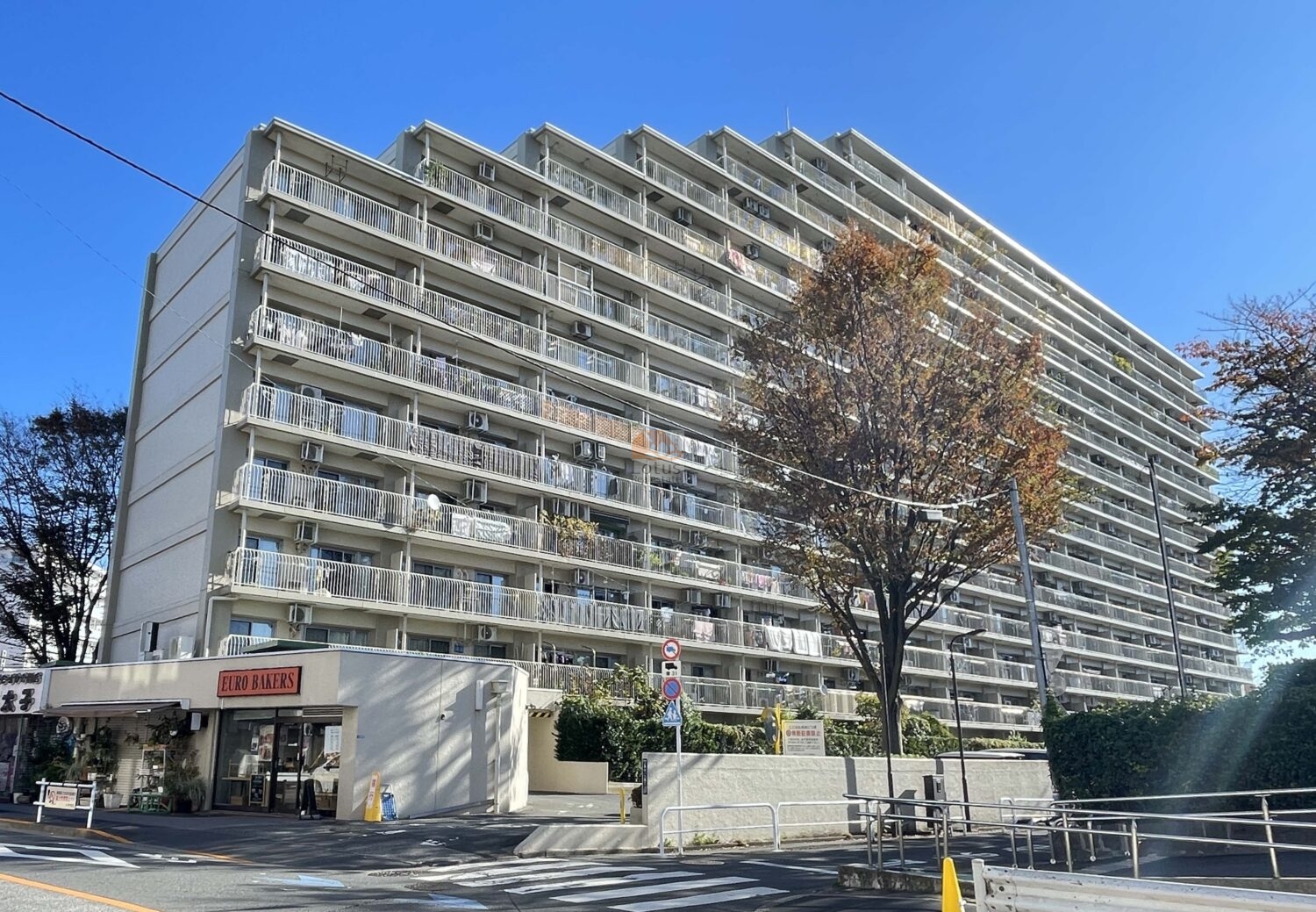 地上14階建の住棟が整然と並び、白を基調とした外壁で、1階部分には店舗が併設され、街並みに溶け込むような低層のデザインが確認できます。道路沿いには植栽が整備され、街路樹が季節の彩りを添えています。