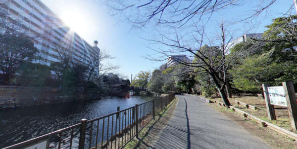 ニックハイム木場公園第３-仙台堀川公園｜仙台堀川公園です。