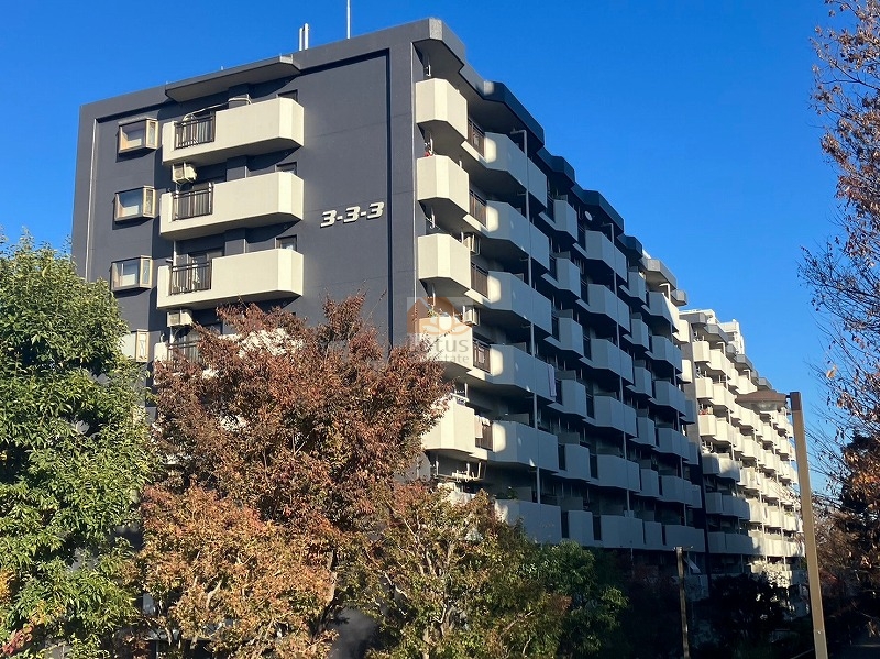 シティコープ光が丘外観１｜シティコープ光が丘は、昭和59年築、8階建てのマンションです。