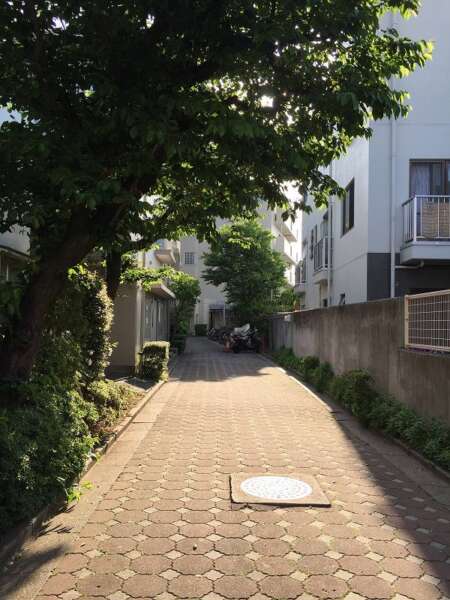 モアステージ隅田4｜アプローチは奥行きがあり植栽も施され管理の良さがうかがえます。