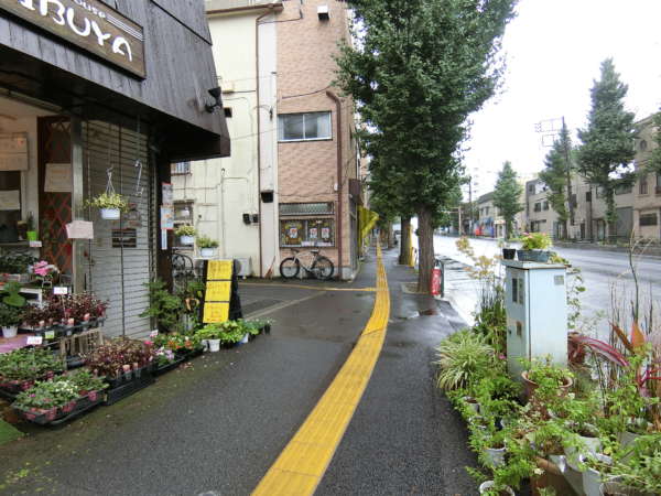 ライオンズマンション目白台シティアプローチ5｜交差点を過ぎると、周辺は落ち着いた住宅の様相を呈してきます。不忍通りを進みます。