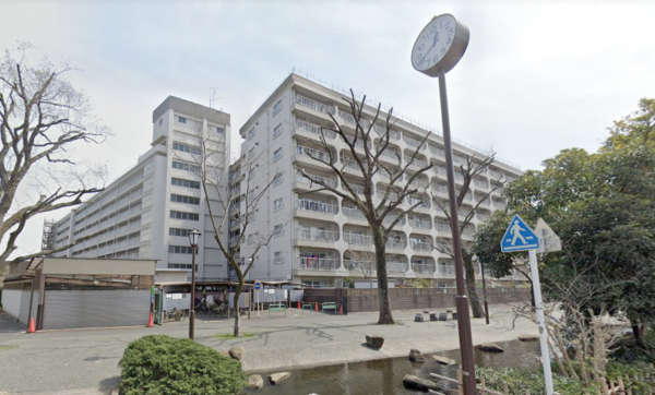 日商岩井新小岩マンション外観９｜日商岩井新小岩マンションは昭和４９年築の８階建て、総戸数２６８戸の大規模マンションです。西側は小松川境川親水公園に面しています。