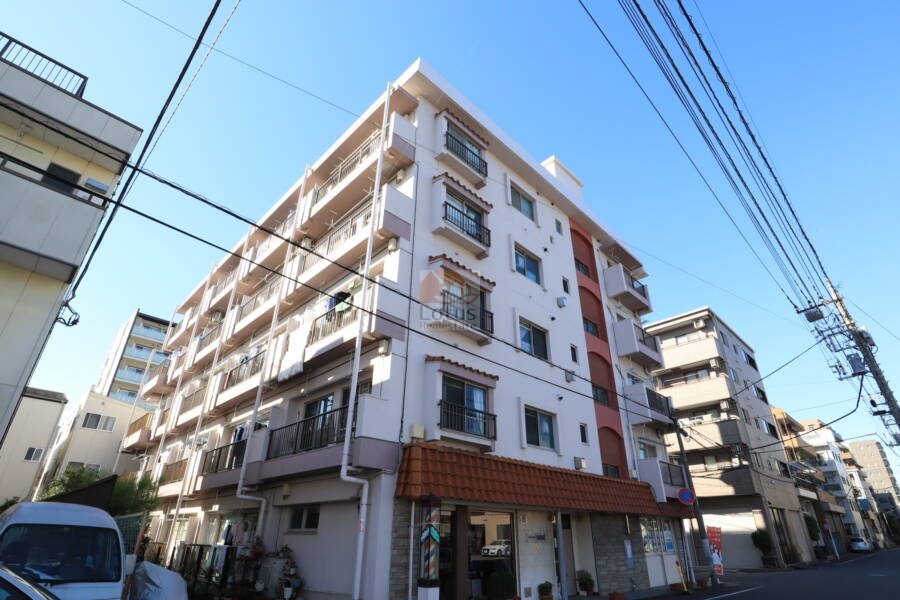 森下町パブリックハイツ外観2