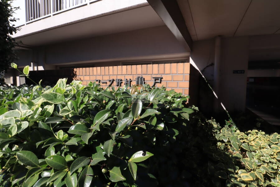 コープ野村亀戸西棟エントランス2