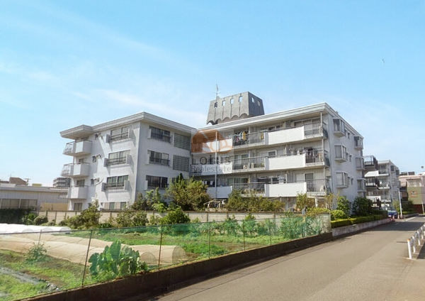 桜丘フラワーホーム外観２｜桜丘フラワーホームは昭和48年築、4階建てのマンションです。