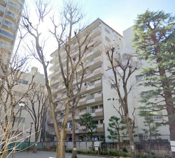 湯島武蔵野マンション外観２｜湯島武蔵野マンションの現地は春木町公園に隣接するロケーションです。ビルの間で近隣の皆さんに憩いを与える公園です。