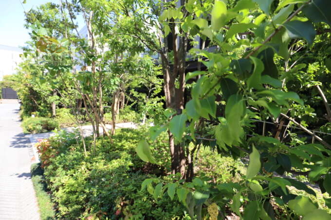 プラウド東陽町サウス共用部