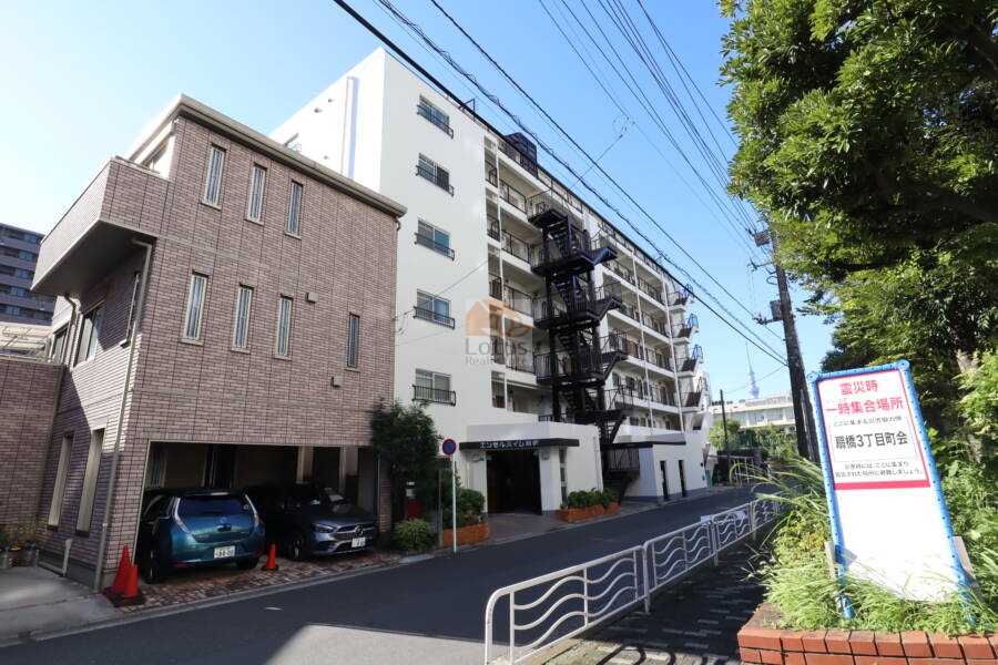 エンゼルハイム扇橋外観3｜こちらは東側です。