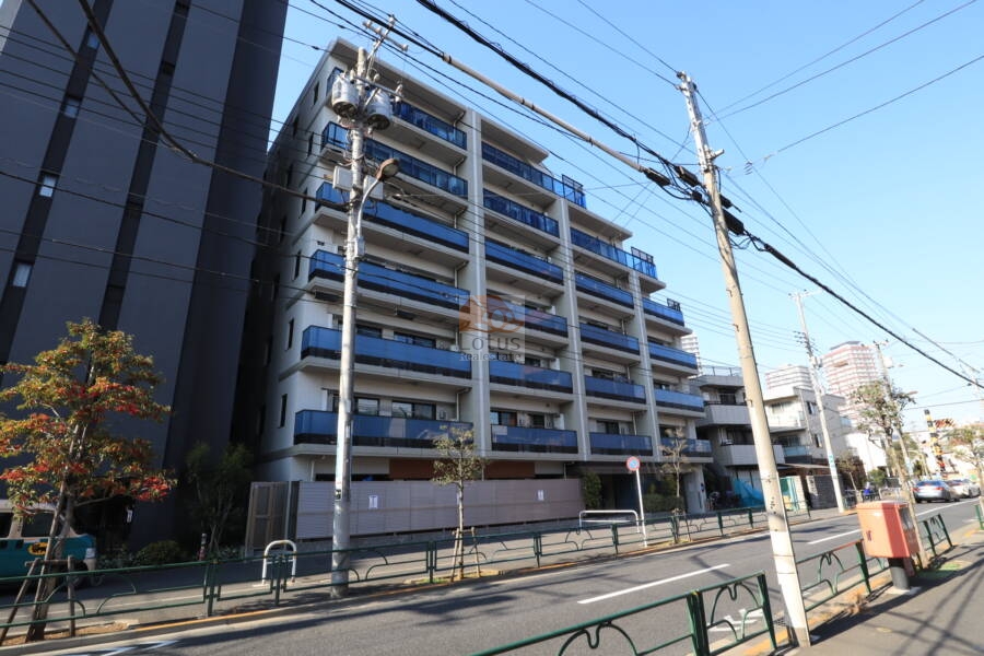 エクセレントシティ押上外観2｜屋上に緑化を施したテラスがあり、夏は隅田川花火大会が望めます。