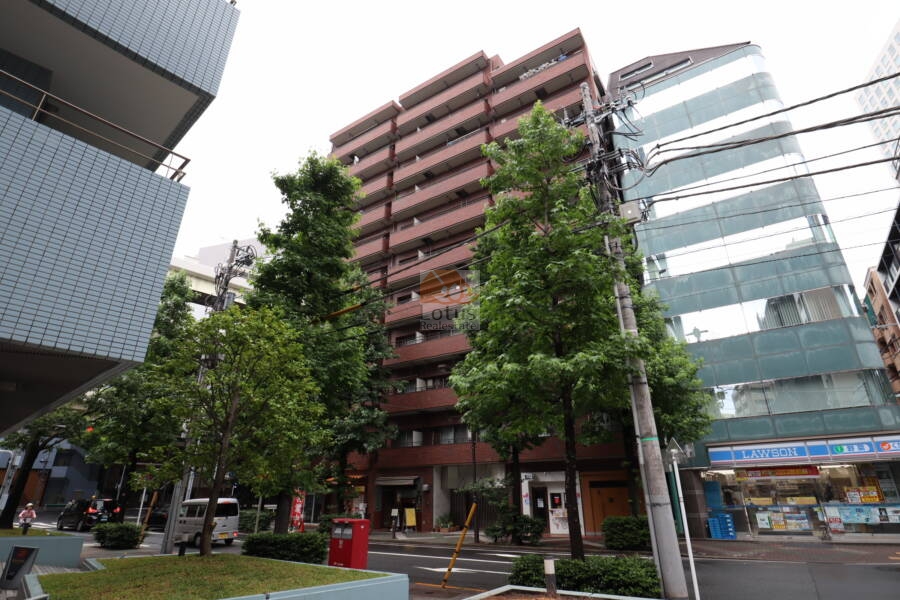 ニューシティハイツ日本橋外観1｜ニューシティハイツ日本橋は昭和５６年築、１１階建てのマンションです。水天宮前駅、人形町駅、茅場町駅が利用可です。