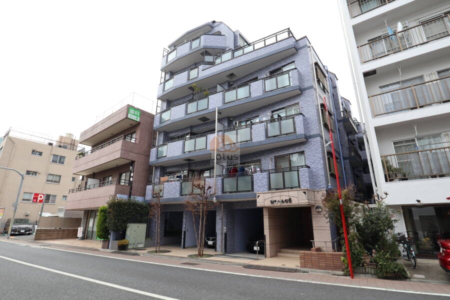 セザール目白外観1｜セザール目白は平成９年築、１１階建てのマンションです。聖母坂通り沿いに立地します。