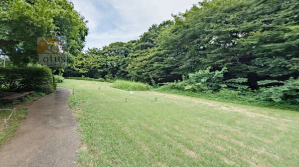 世田谷区立桜丘すみれば自然庭園｜「世田谷区立桜丘すみれば自然庭園」まで徒歩２分です。環八通りに隣接しているとは思えない、緑に囲まれた静かな公園です。