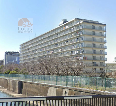 東大島ハイライズ外観５｜東側は旧中川に面しています。