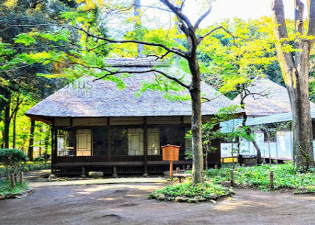 蘆花恒春園2｜「蘆花恒春園」まで徒歩４分です。環八通りを挟んだ向かい側にあります。文豪徳冨蘆花の旧宅があります。