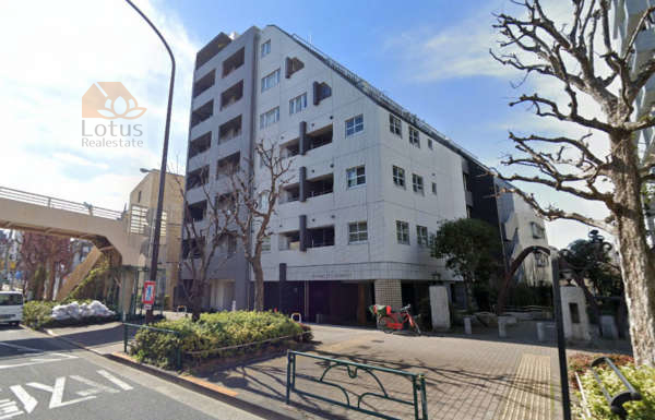 ダイナシティ高円寺外観１｜ダイナシティ高円寺は平成１７年築、８階建てのマンションです。東側に環七通り、北側に桃園川緑道・高南みどり公園に隣接した立地です。高円寺駅、東高円寺駅、新高円寺駅が利用可です。