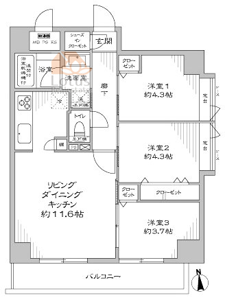 オリンポス西日暮里801間取図