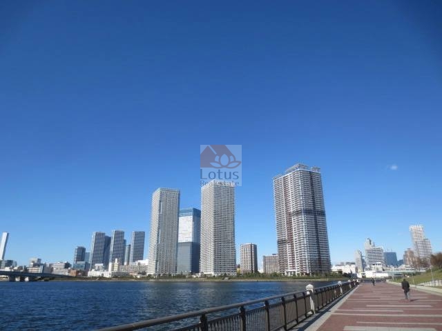ザ・パークハウス晴海タワーズ｜ザ・パークハウス晴海タワーズは、平成28年築、49階建ての高層マンションです。