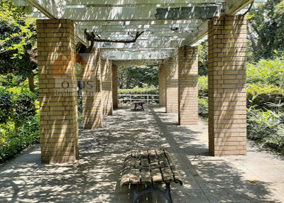 大井公園｜「大井公園」まで徒歩1分です。アスレチックのなどの遊具があります。