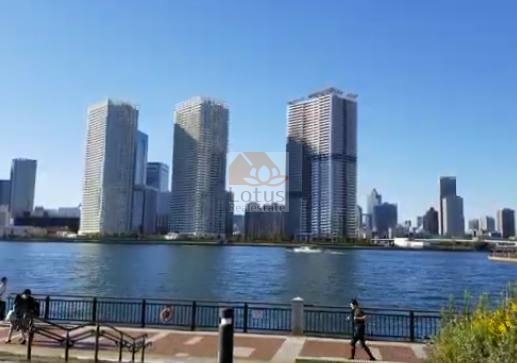 パークタワー晴海外観9｜パークタワー晴海は平成31年築、48階建てタワーマンションです。