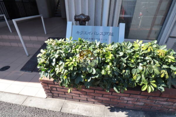 キクエイパレス戸越エントランス2
