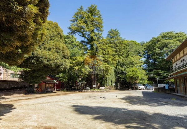 駒込富士神社｜裏手（東側）には「駒込富士神社」があります。