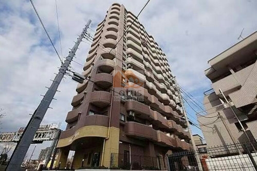 茶系タイルの外壁、曲線バルコニー、低層部にアーチ型の庇とガラス扉の出入口、前面の植栽帯と街路樹が見えます。ライオンズシティ四ツ木は、平成10年築、13階建てのマンションです。
