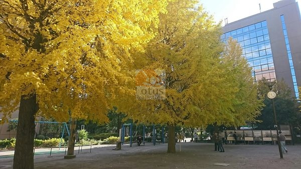 大井坂下公園｜徒歩1分に「大井坂下公園」があります。