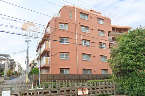 柴又ハイツ外観１｜柴又ハイツは昭和57年築、5階建てのマンションです。柴又駅から徒歩4分です。