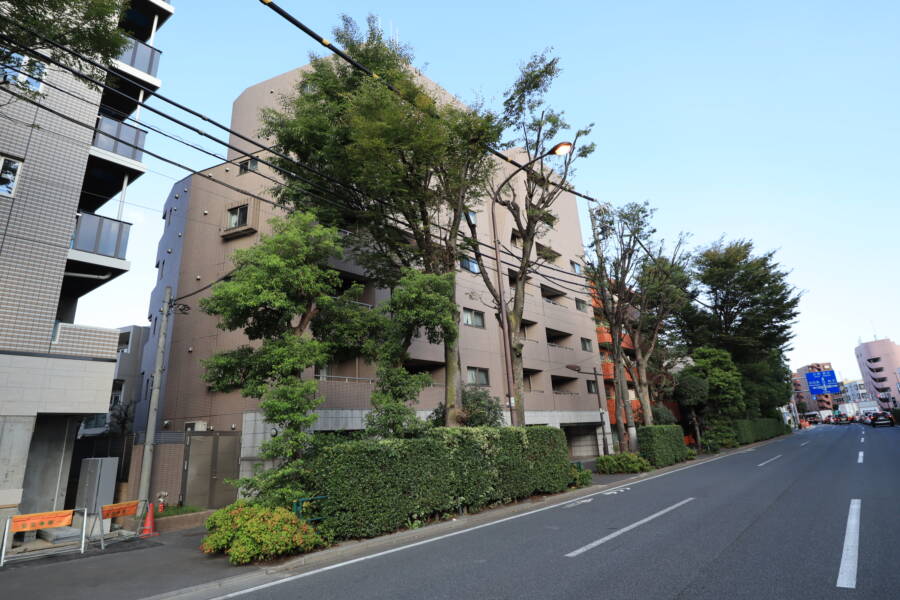 サンスタレ駒沢外観2