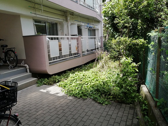 三田豊玉第二コーポ共用部 (12)｜敷地内です。